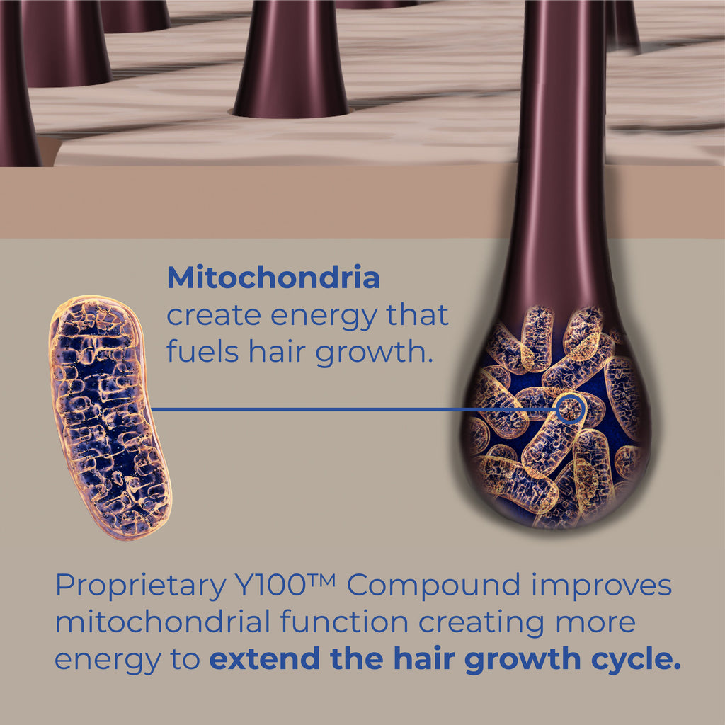Proprietary Y100 Compound improves mitochondrial function creating more energy to extend the hair growth cycle.